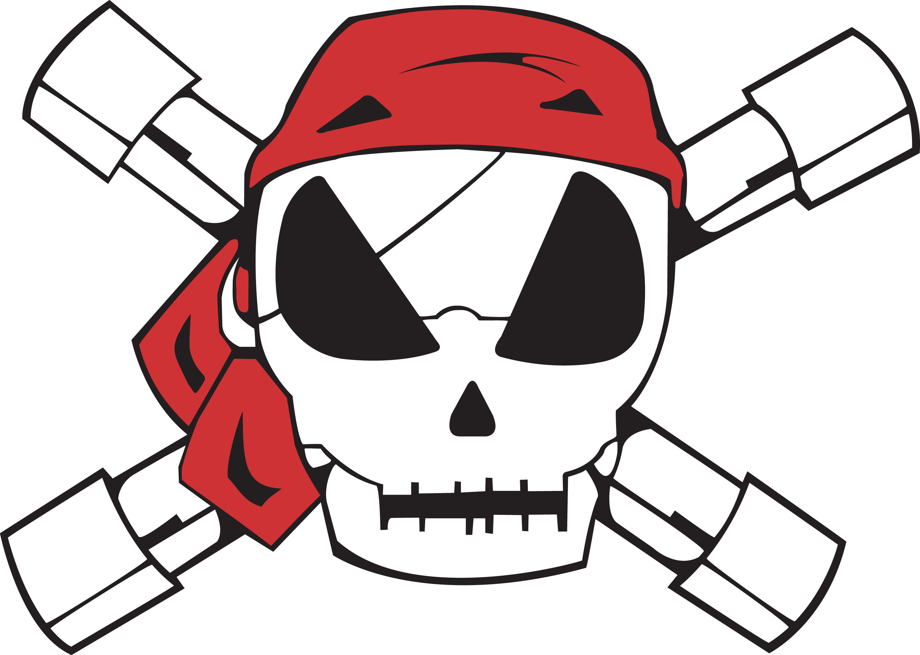 PVC Pirates